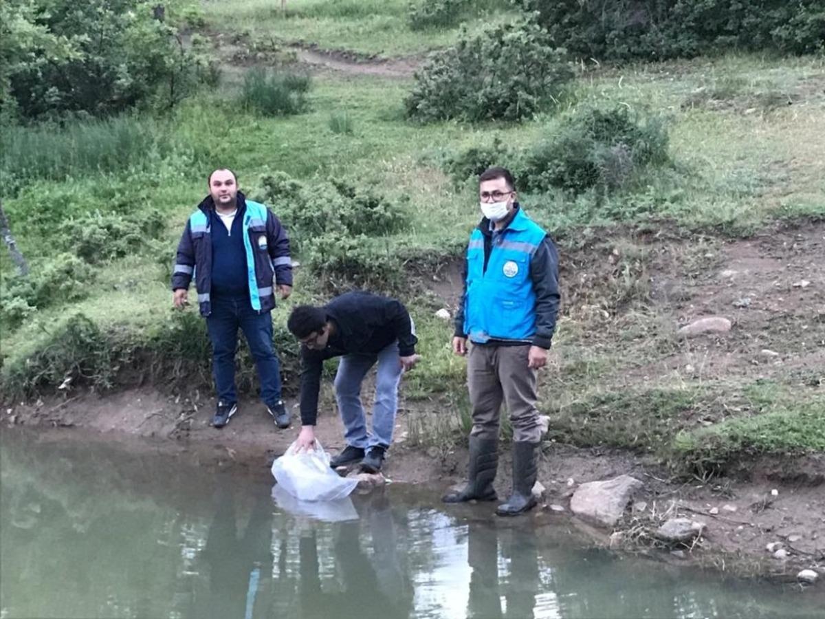 Simav&rsquo;daki g&ouml;letlere 40 bin adet pullu sazan balığı yavrusu bırakıldı