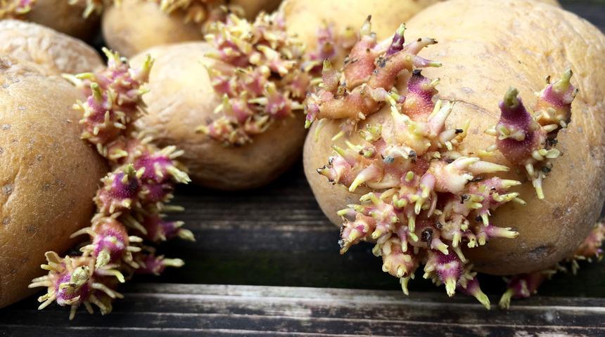 Mutfakta hayat kurtaran 6 etkili yöntem