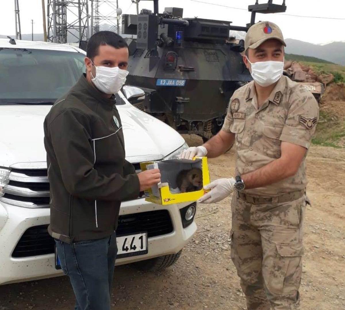 Arazide bitkin bir halde bulunan yavru Kurt, tedavi altına alındı