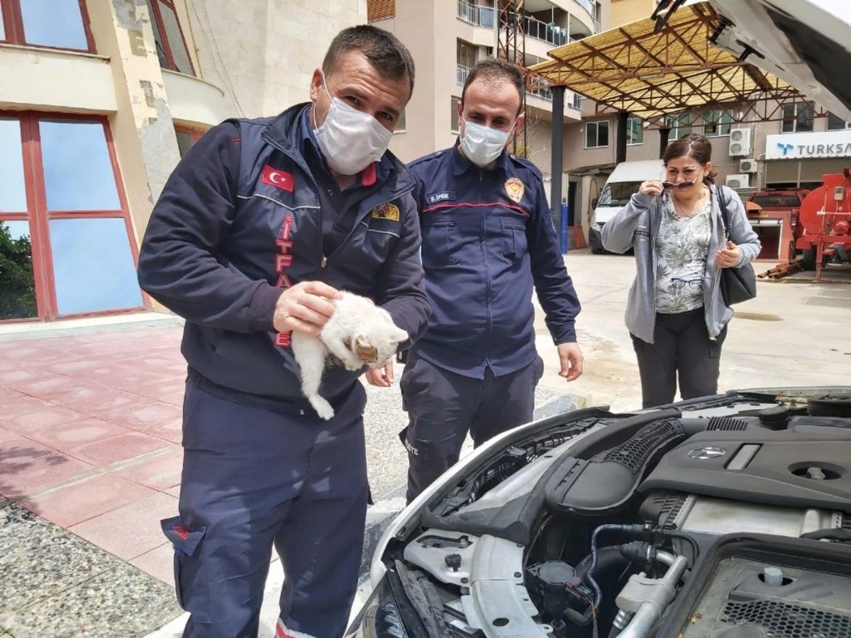 Hareket halindeki otomobilden kedi sesi gelince soluğu itfaiyede aldı