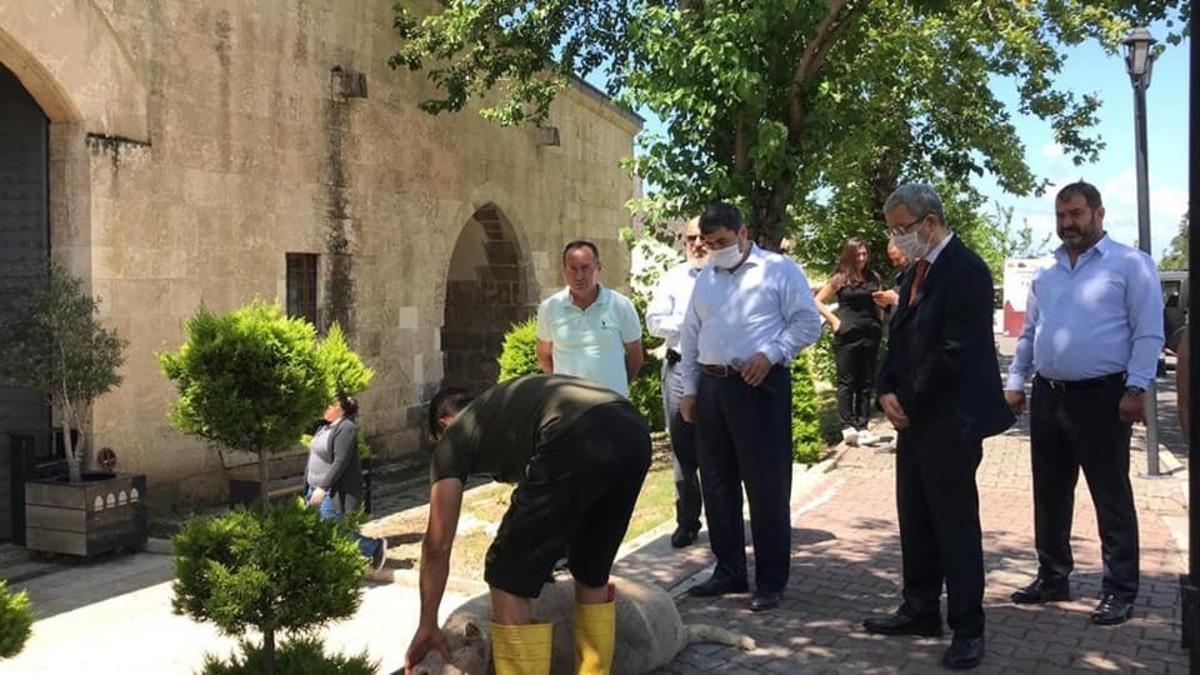 Payas&rsquo;ta Cuma namazı &ouml;ncesi ş&uuml;k&uuml;r kurbanı kesildi