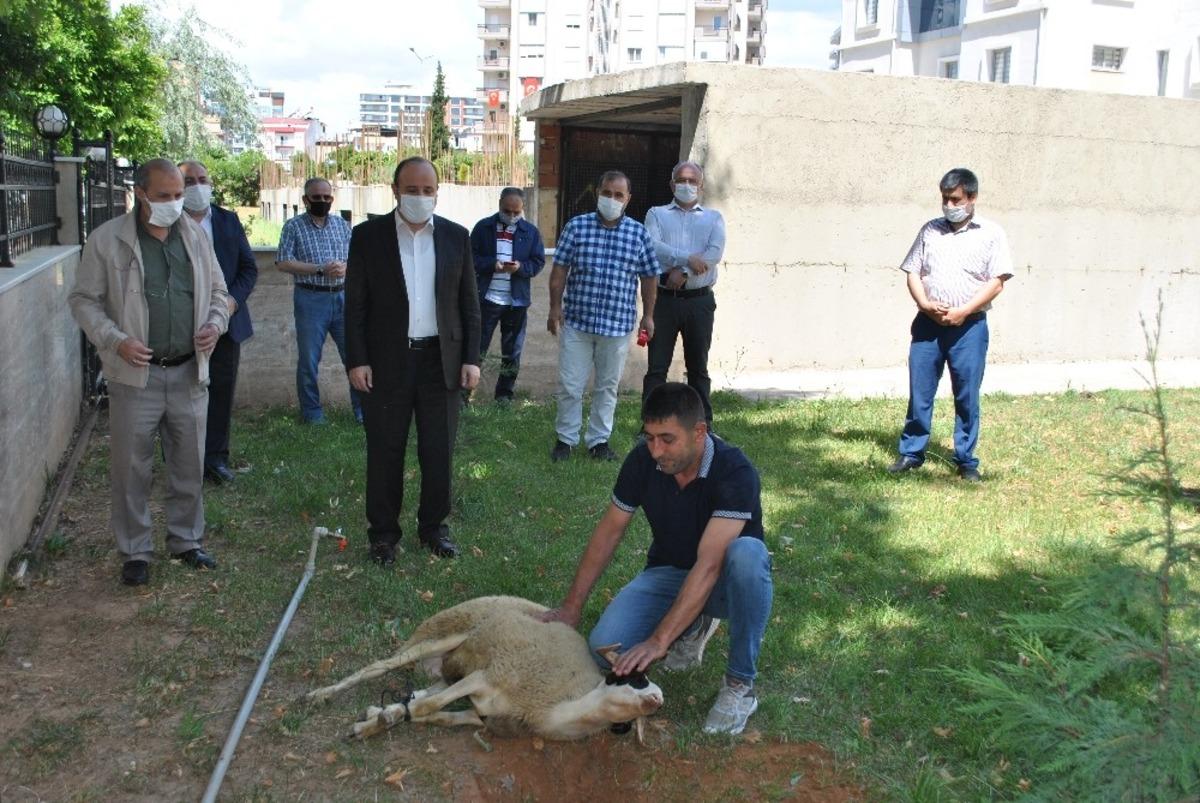 Aydın&rsquo;ın 17 il&ccedil;esinde Cuma namazı &ouml;ncesi ş&uuml;k&uuml;r kurbanı kesildi