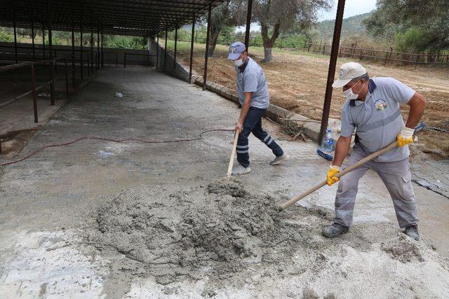 Dalama Hayvan Pazarı yenileniyor