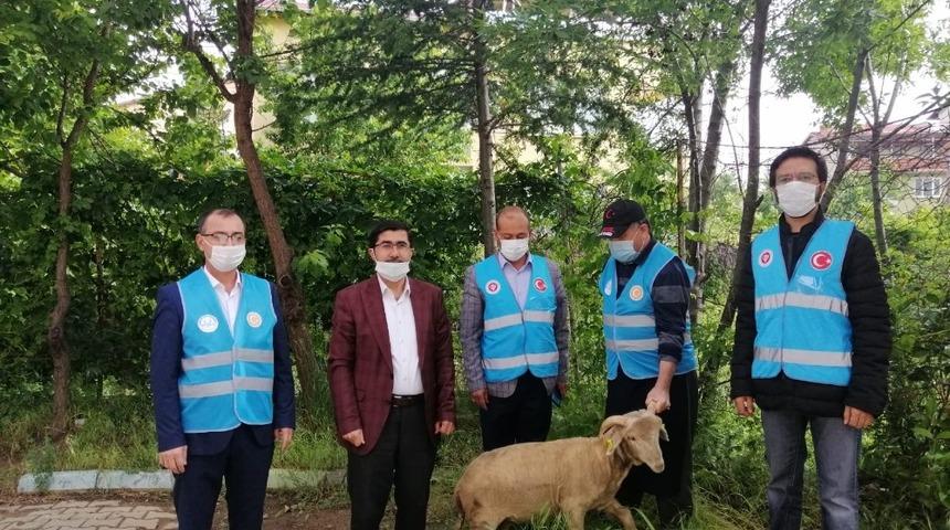 Camilerin yeniden a&ccedil;ılışında ş&uuml;k&uuml;r kurbanı kesildi