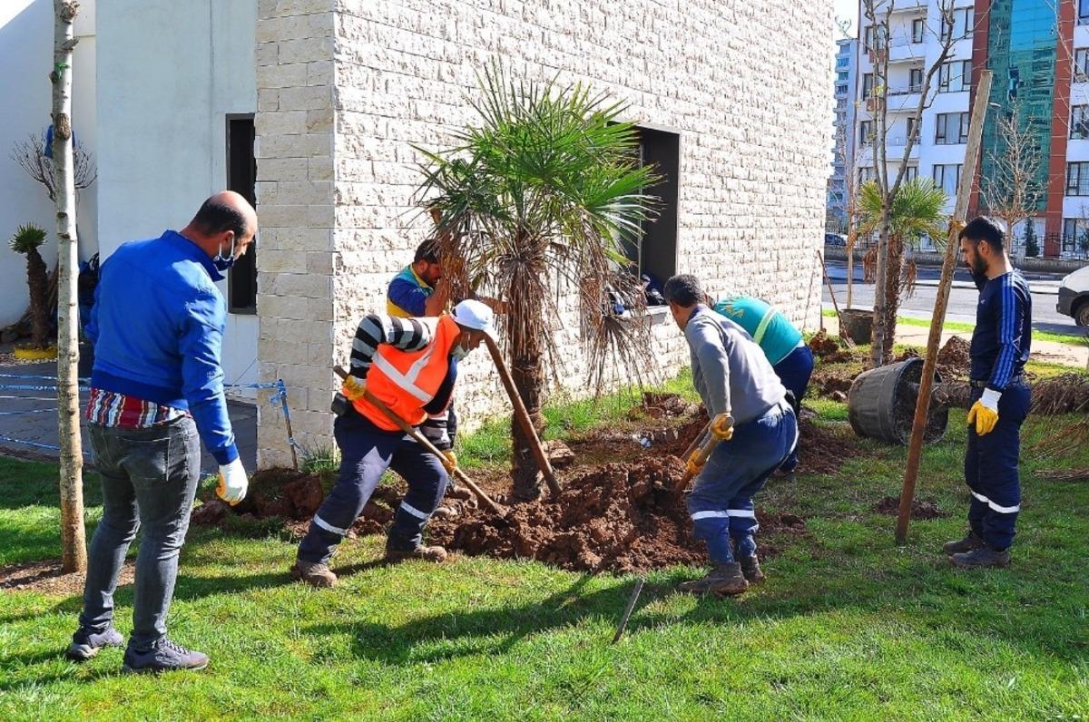 B&uuml;y&uuml;kşehir Belediyesi kenti 2 milyon mevsimlik &ccedil;i&ccedil;ekle s&uuml;sledi
