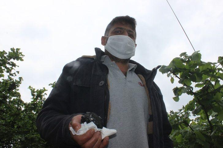 Ot biçerken bahçede gök taşı buldu G5