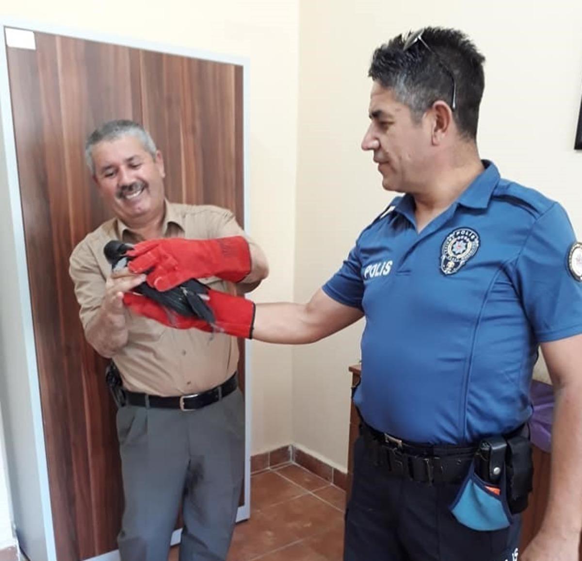 Polis, yaralı şahini g&ouml;revlilere teslim etti