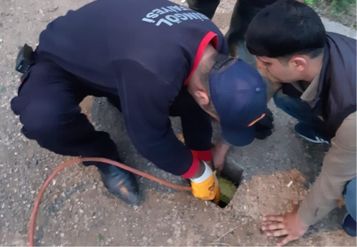 Su kuyusuna d&uuml;şen yavru k&ouml;pek kurtarıldı