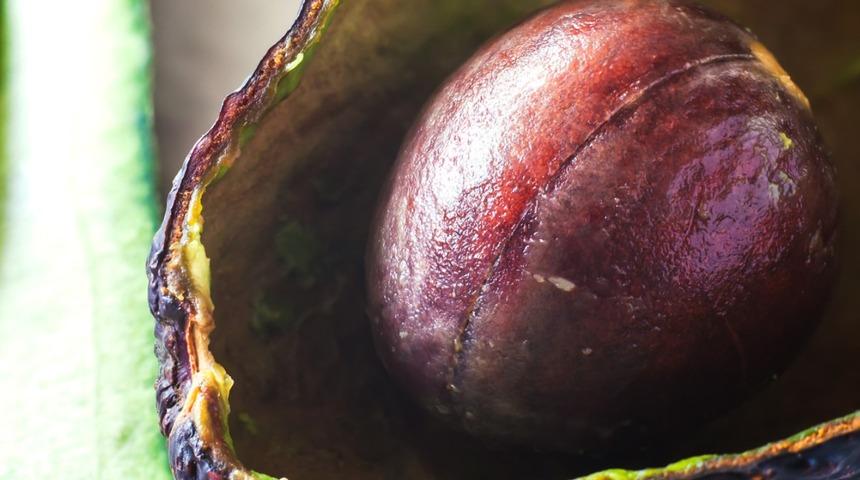 En önemli yerini çöpe atıyoruz! Avokado çekirdeği cildinize bakın nasıl fayda sağlıyor