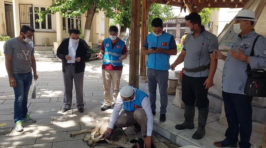 S&ouml;ke Kocacami&rsquo;de ş&uuml;k&uuml;r kurbanı kesildi