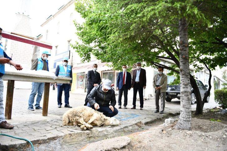 Beypazarı’nda camiler cuma namazıyla birlikte ibadete açıldı G1