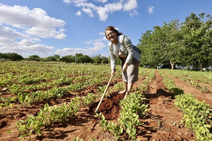 Fatma Şahin’den Oğuzeli nar bahçelerine ziyaret G3
