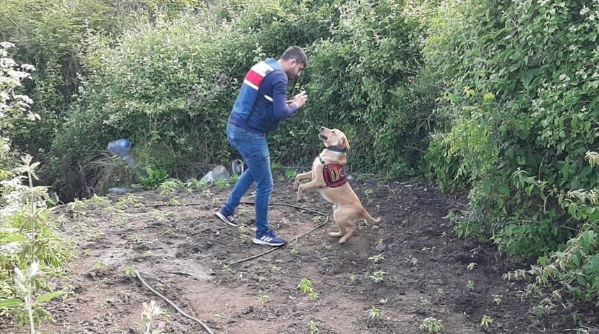 Çanakkale'de uyuşturucu operasyonu: 2 gözaltı