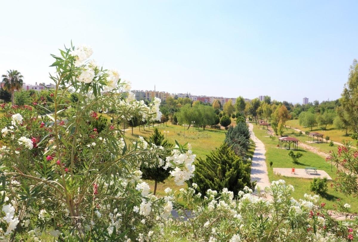 Toroslar&rsquo;ın parkları kır &ccedil;i&ccedil;ekleriyle renklendi