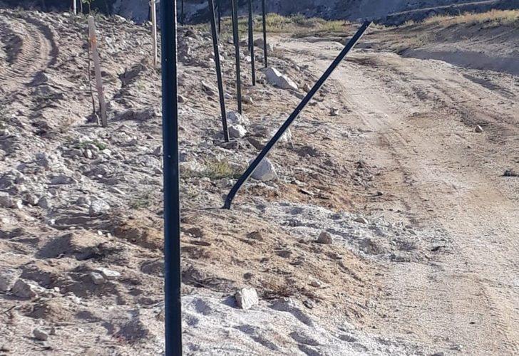 Örnek gösterilen bahçedeki armut fidanlarına zarar verdiler G2