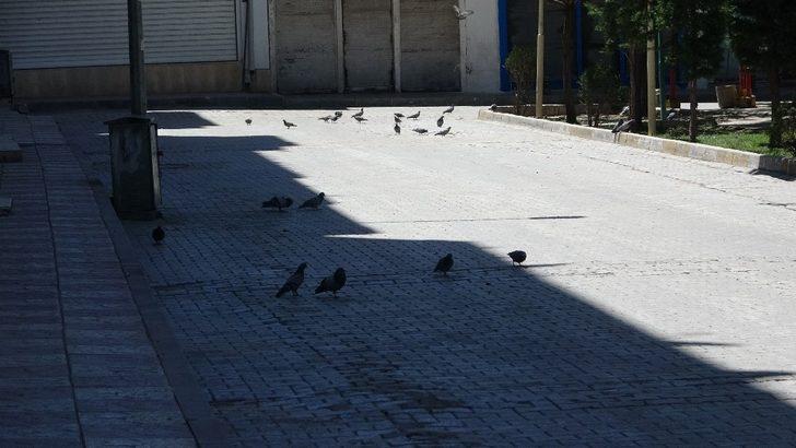 Kısıtlamanın devam ettiği Van’da sokaklar güvercinlere kaldı G3