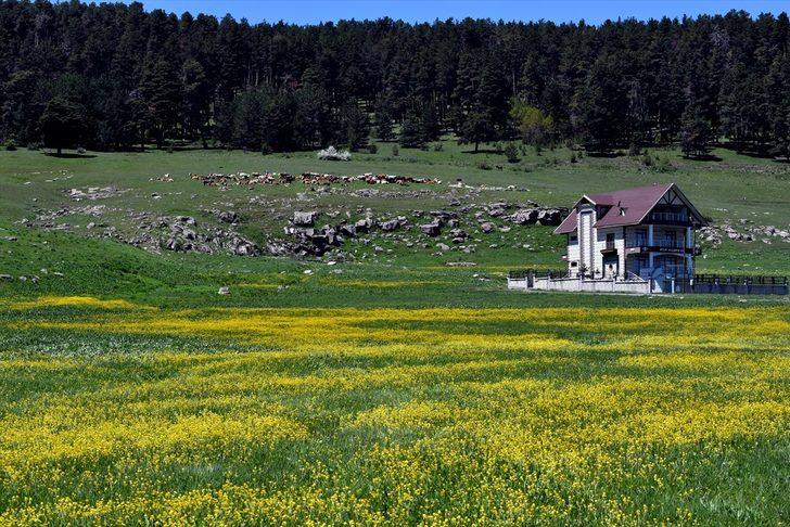 Kars el değmemiş doğasıyla göz kamaştırıyor G2