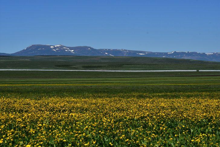Kars el değmemiş doğasıyla göz kamaştırıyor G4