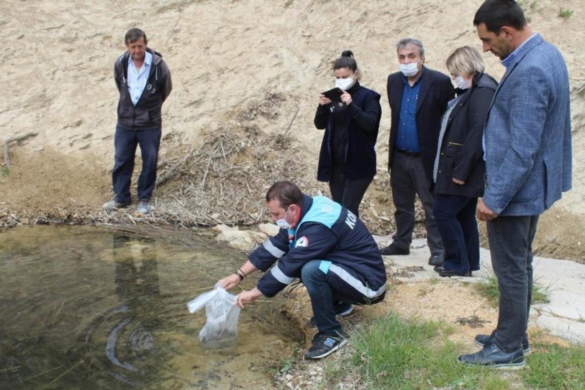 Kırklareli&rsquo;de g&ouml;letlere 96 bin sazan yavrusu bırakıldı