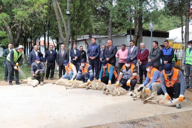 Yahşihan’da Cuma namazı öncesi şükür kurbanları kesildi