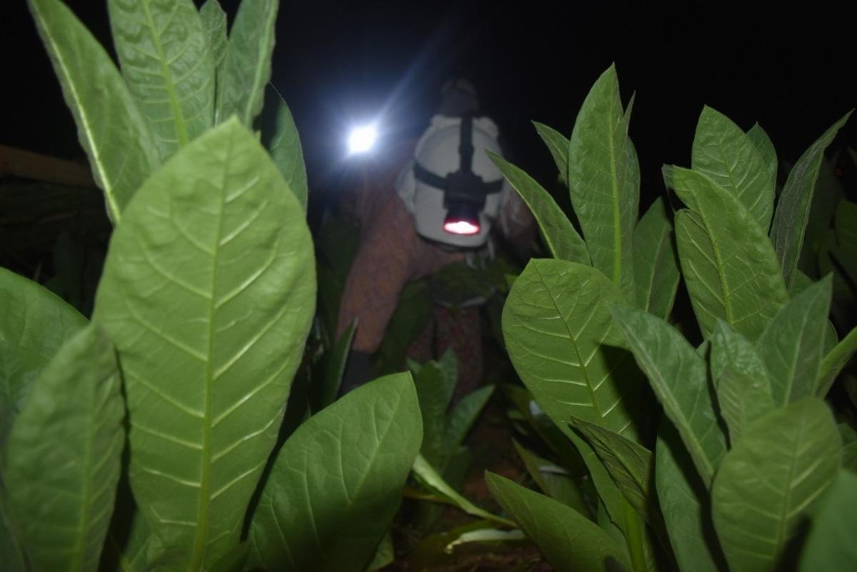 40 g&uuml;n boyunca uykuyu unutuyorlar