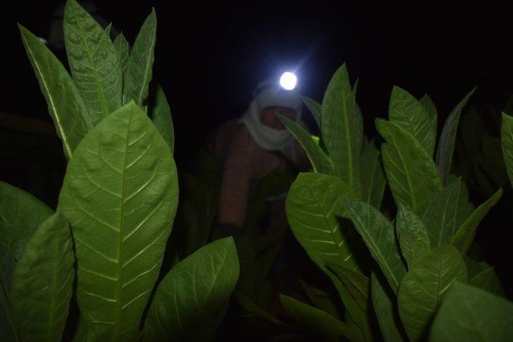 40 gün boyunca uykuyu unutuyorlar G3