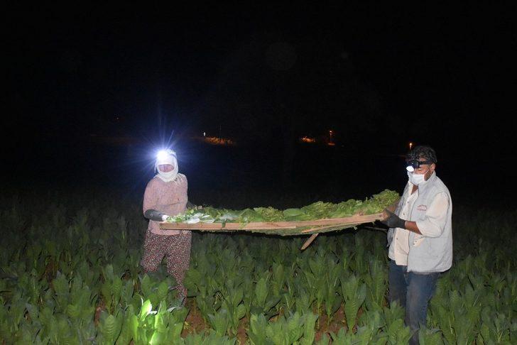 40 gün boyunca uykuyu unutuyorlar G4