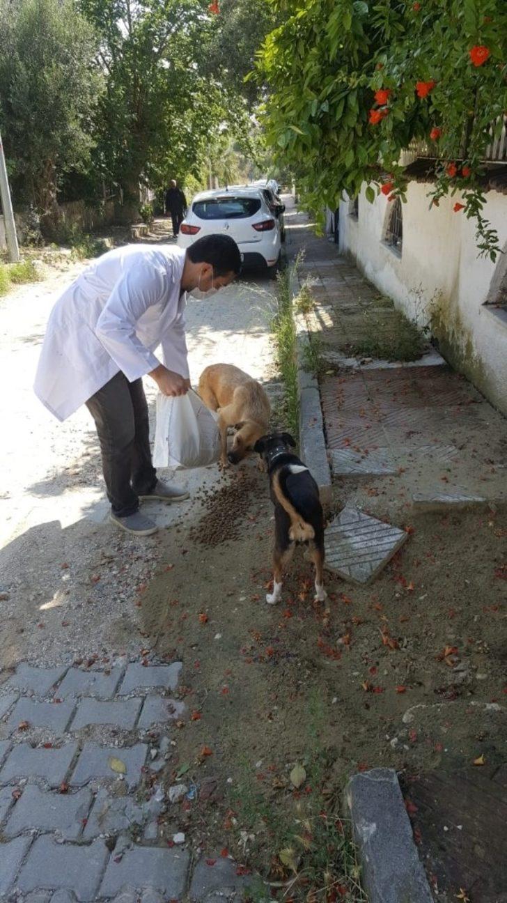 Manisa’daki sokak hayvanlarını unutmadılar G3