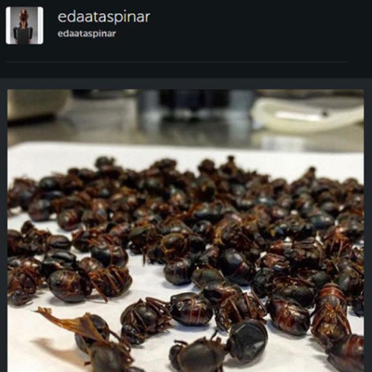 Takipçileri 'iğrenç' dedi, Eda Taşpınar yazdığını değiştirdi G2