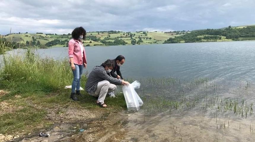 Kandıra&rsquo;nın g&ouml;letlerine 15 bin adet yavru sazan balığı salındı