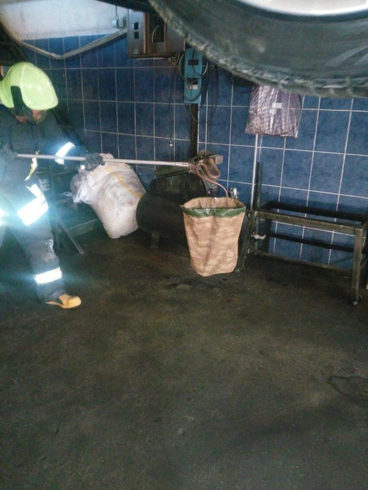 Dikkatli sürücü motor bölümüne giren yılanı son anda fark etti G2