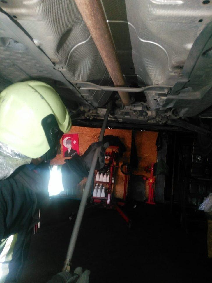 Dikkatli sürücü motor bölümüne giren yılanı son anda fark etti G3