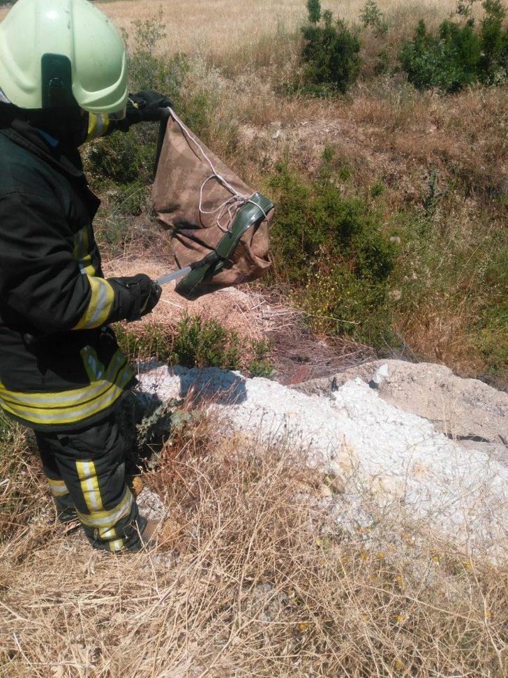 Dikkatli sürücü motor bölümüne giren yılanı son anda fark etti G4