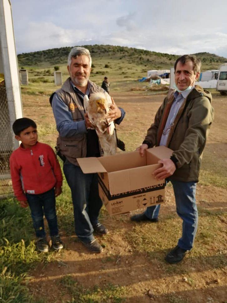 Eskişehir’de uydu vericisi takılı küçük akbaba bulundu G2