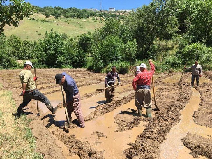 Başkan Dündar, çeltik tarlasında vatandaşlarla birlikte çalıştı G1