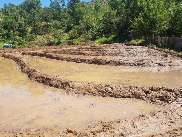 Başkan Dündar, çeltik tarlasında vatandaşlarla birlikte çalıştı G3