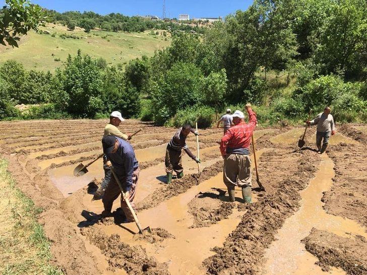 Başkan Dündar, çeltik tarlasında vatandaşlarla birlikte çalıştı G5