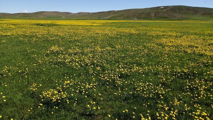 (Özel) Yeşilin, mavinin ve sarının buluştuğu Keşiş Gölü hayran bırakıyor G4
