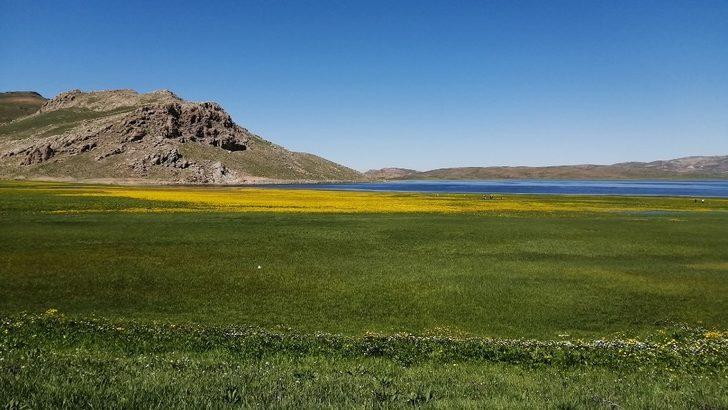 (Özel) Yeşilin, mavinin ve sarının buluştuğu Keşiş Gölü hayran bırakıyor G5