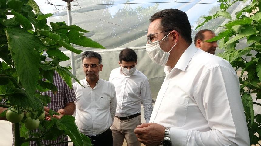 AK Parti&rsquo;li Doğru: "Avrupa&rsquo;yı besleyeceğiz"