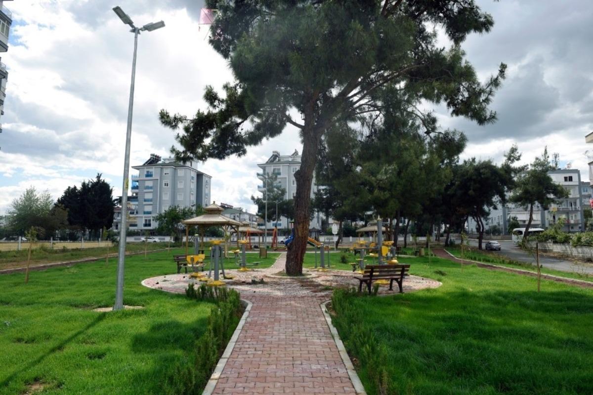 Varsak&rsquo;a &ccedil;am ağa&ccedil;lı park