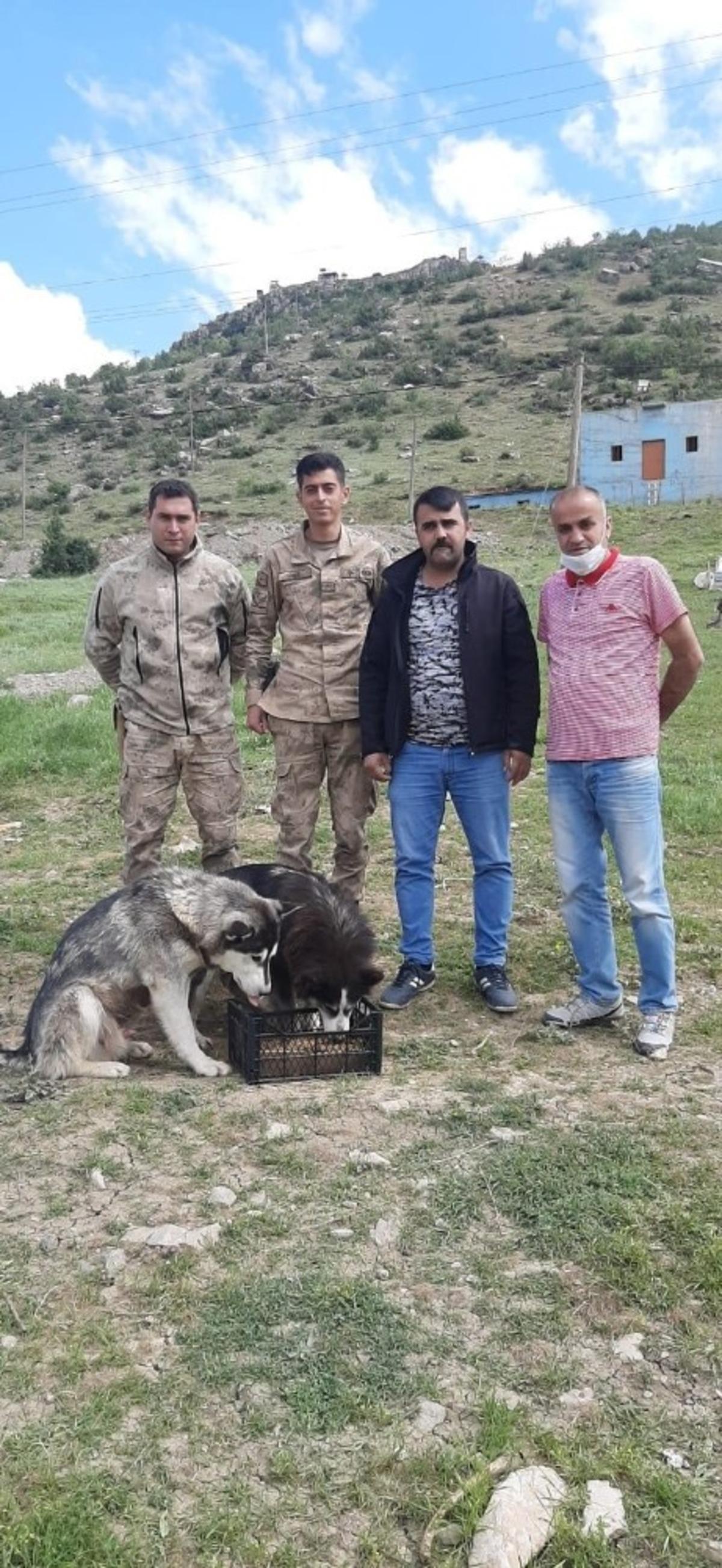 &Ccedil;ukurca&rsquo;da sokak hayvanlarına mama verildi