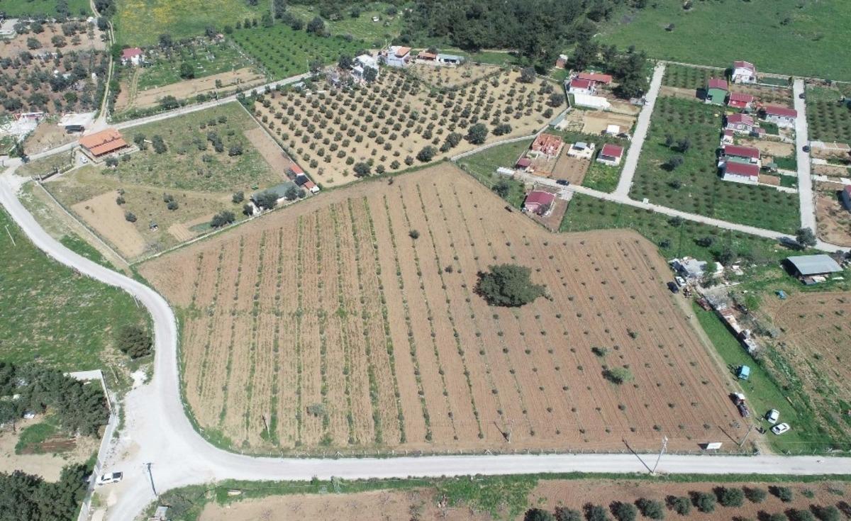 Buca&rsquo;nın t&uuml;m arazileri tarımsal &uuml;retime a&ccedil;ılıyor