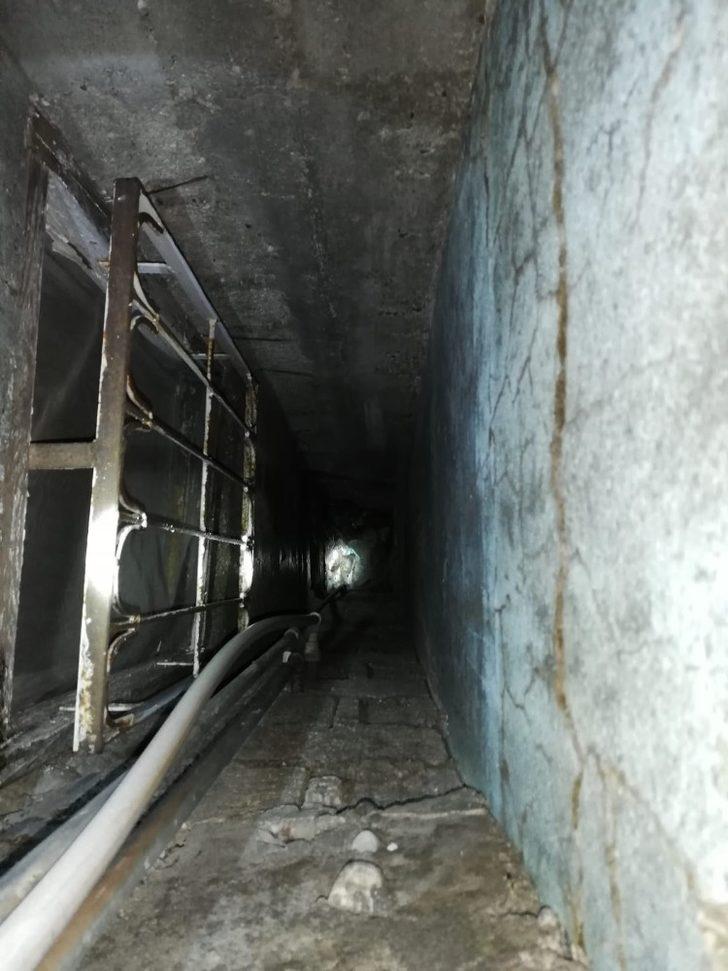 Kurtarılan kedisi için sevinç gözyaşları döktü G3