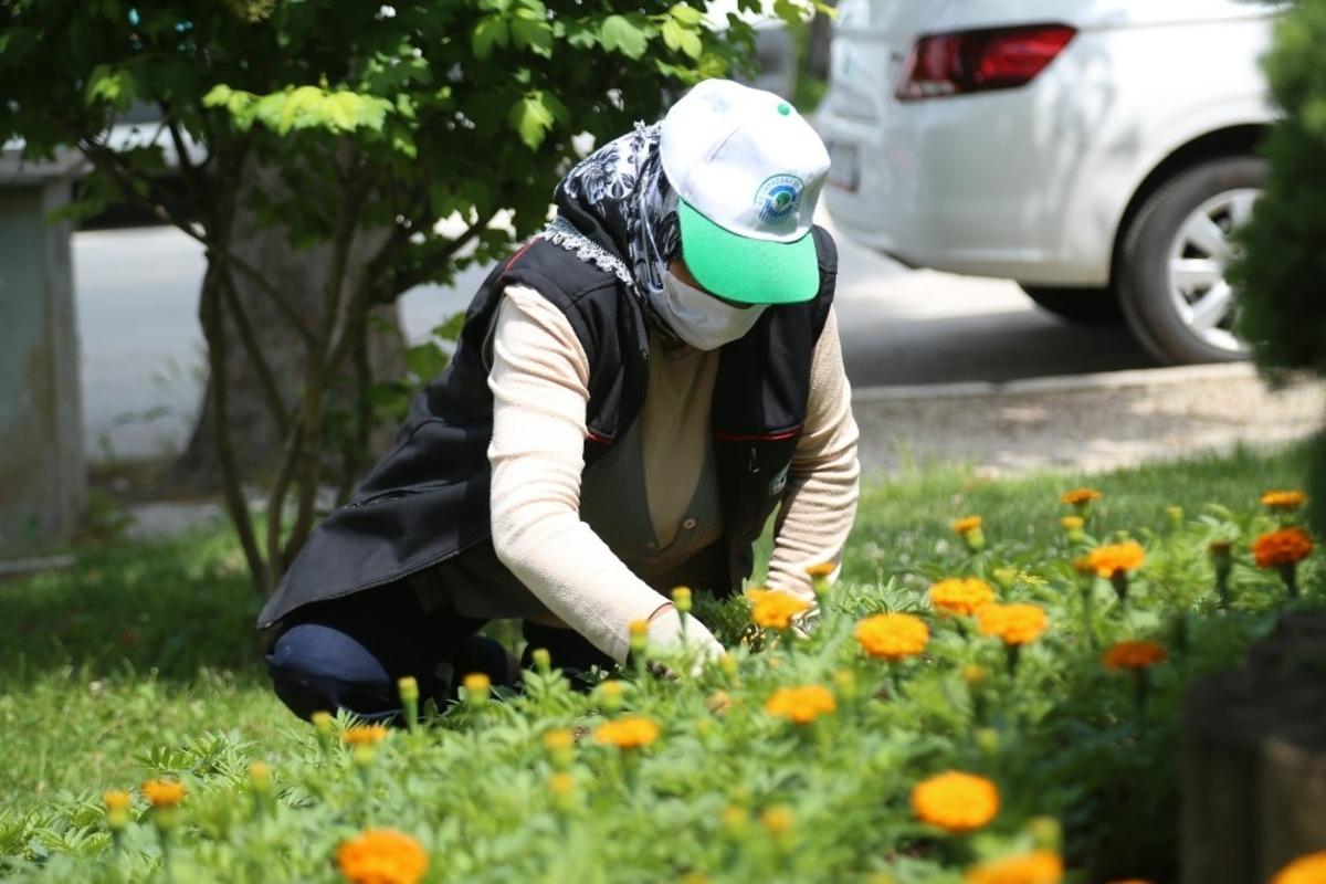 Odunpazarı &ccedil;i&ccedil;ek bah&ccedil;esine d&ouml;n&uuml;ş&uuml;yor