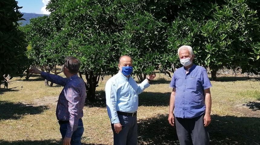 AK Partili Yavuz, &ldquo;Portakal &uuml;reticilerimizin yanındayız&rdquo;