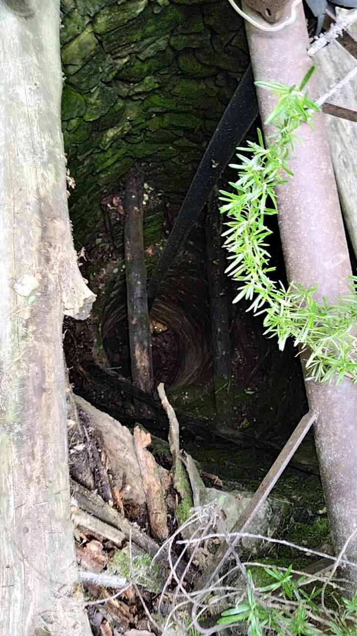 Ekipler su kuyusuna düşen köpeği kurtarmak için seferber oldu G1