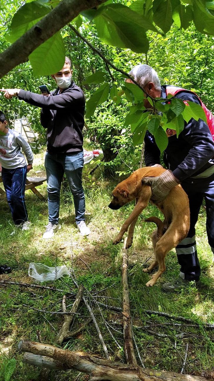 Ekipler su kuyusuna düşen köpeği kurtarmak için seferber oldu G2