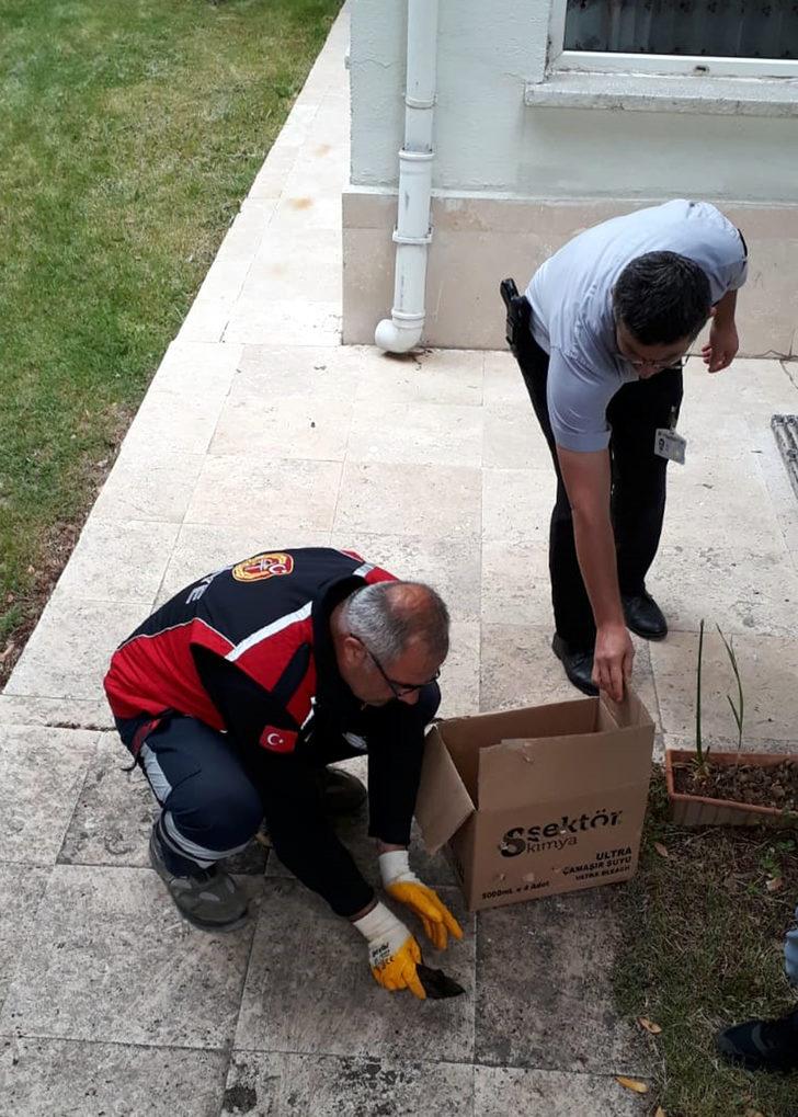 Ekipler su kuyusuna düşen köpeği kurtarmak için seferber oldu G4