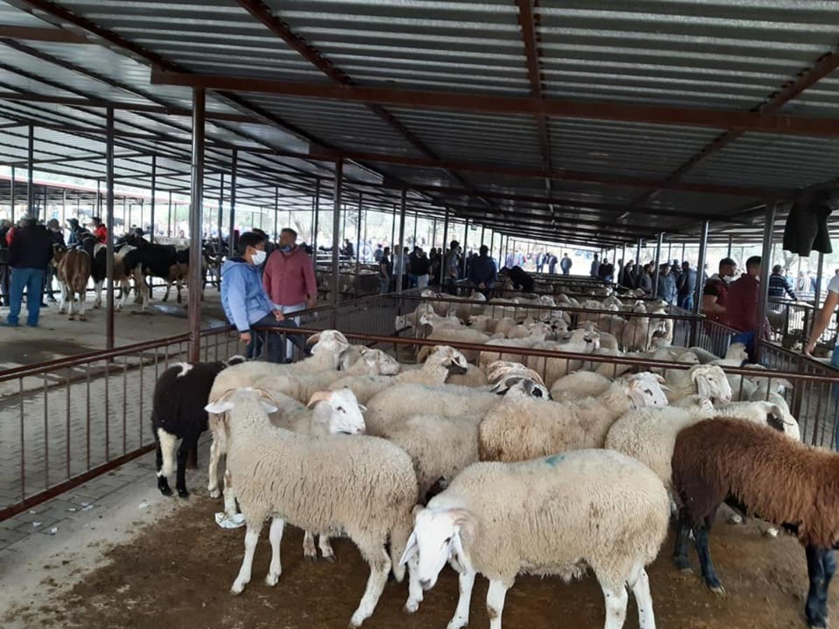 Her t&uuml;rl&uuml; &ouml;nlem ve uyarıya rağmen sosyal mesafeyi aldırış eden olmadı